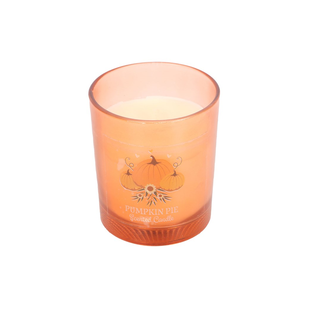 Autumn Wishes Pumpkin Pie Candle N/A