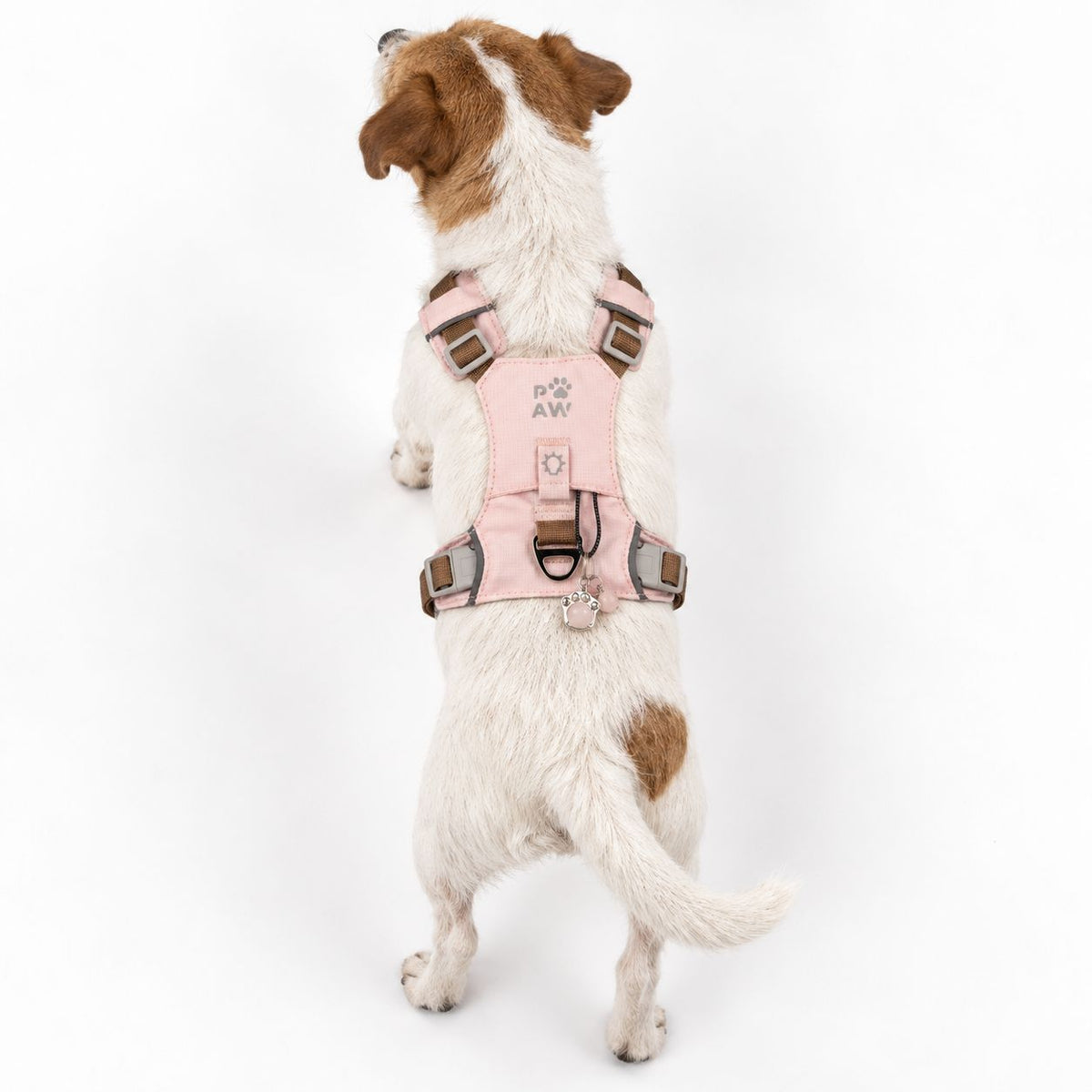 PAW - S (4-8Kg) Dog Step-in Guardian Harness with Reflective Mesh - Soft Pink - Rose Quartz Charm AW Dropship UK