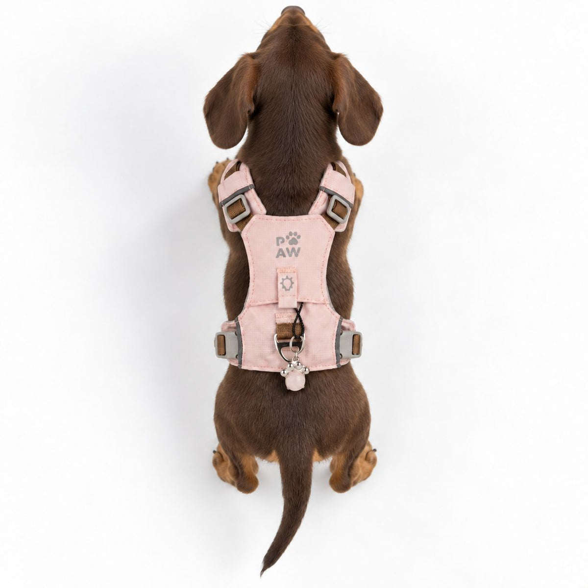 PAW Guardian harness rose quartz design