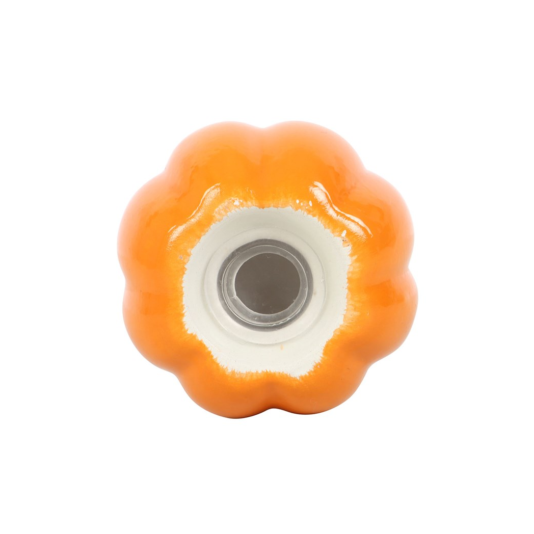Pumpkin Salt and Pepper Shakers N/A