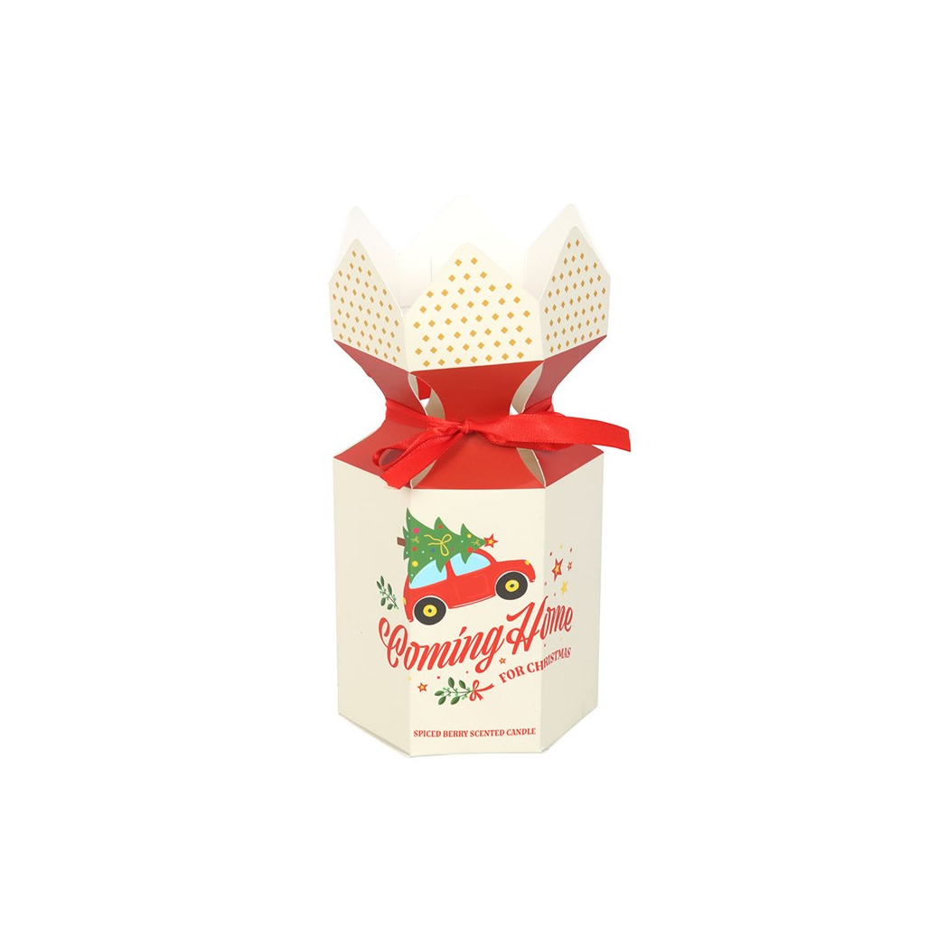Coming Home for Christmas Spiced Berry Candle N/A