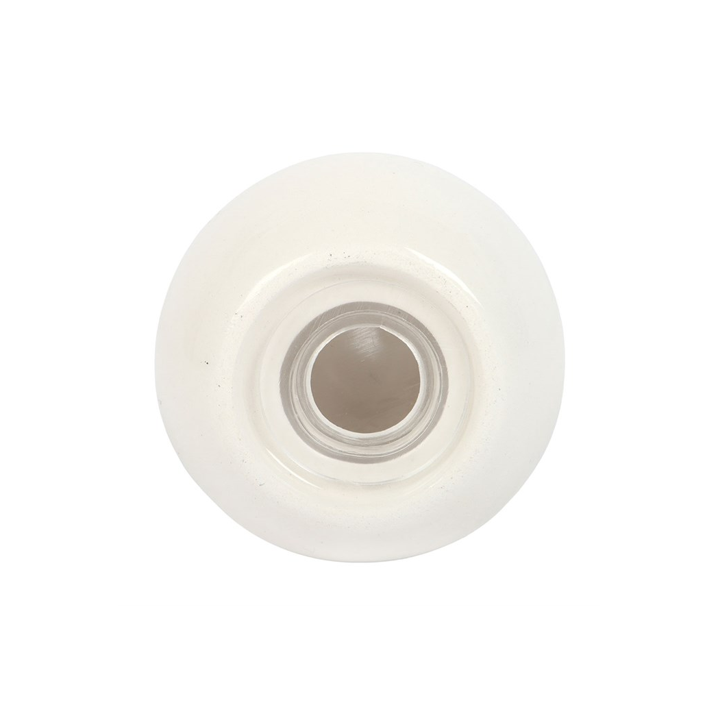 Clam Shell Salt and Pepper Shakers N/A