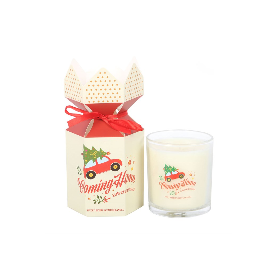Coming Home for Christmas Spiced Berry Candle N/A