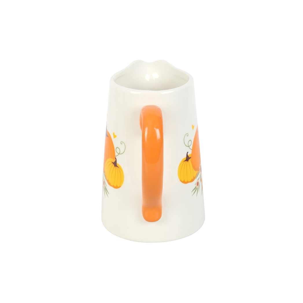 Autumn Pumpkin Ceramic Flower Jug N/A