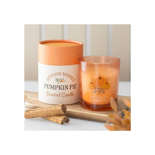 Autumn Wishes Pumpkin Pie Candle N/A