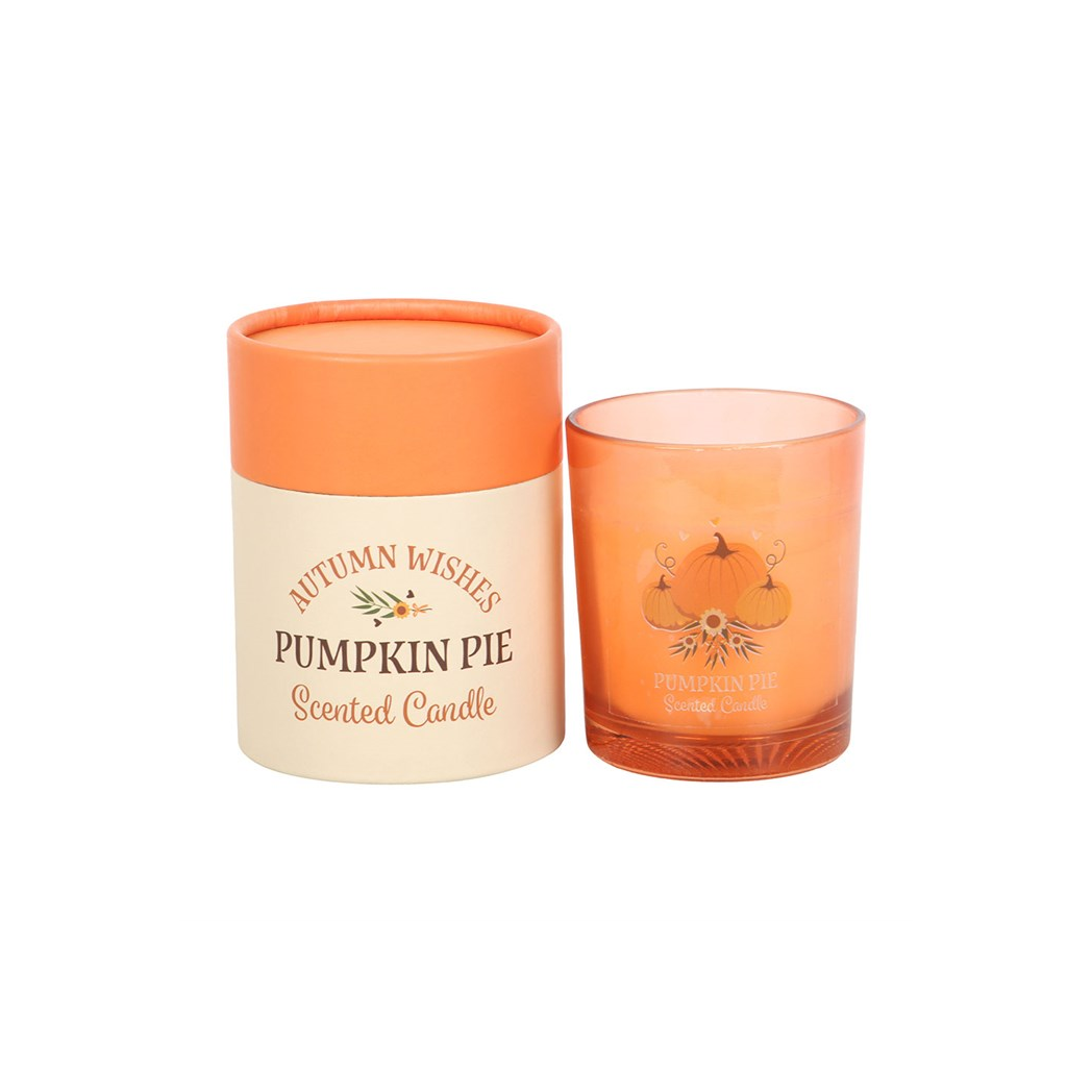 Autumn Wishes Pumpkin Pie Candle N/A