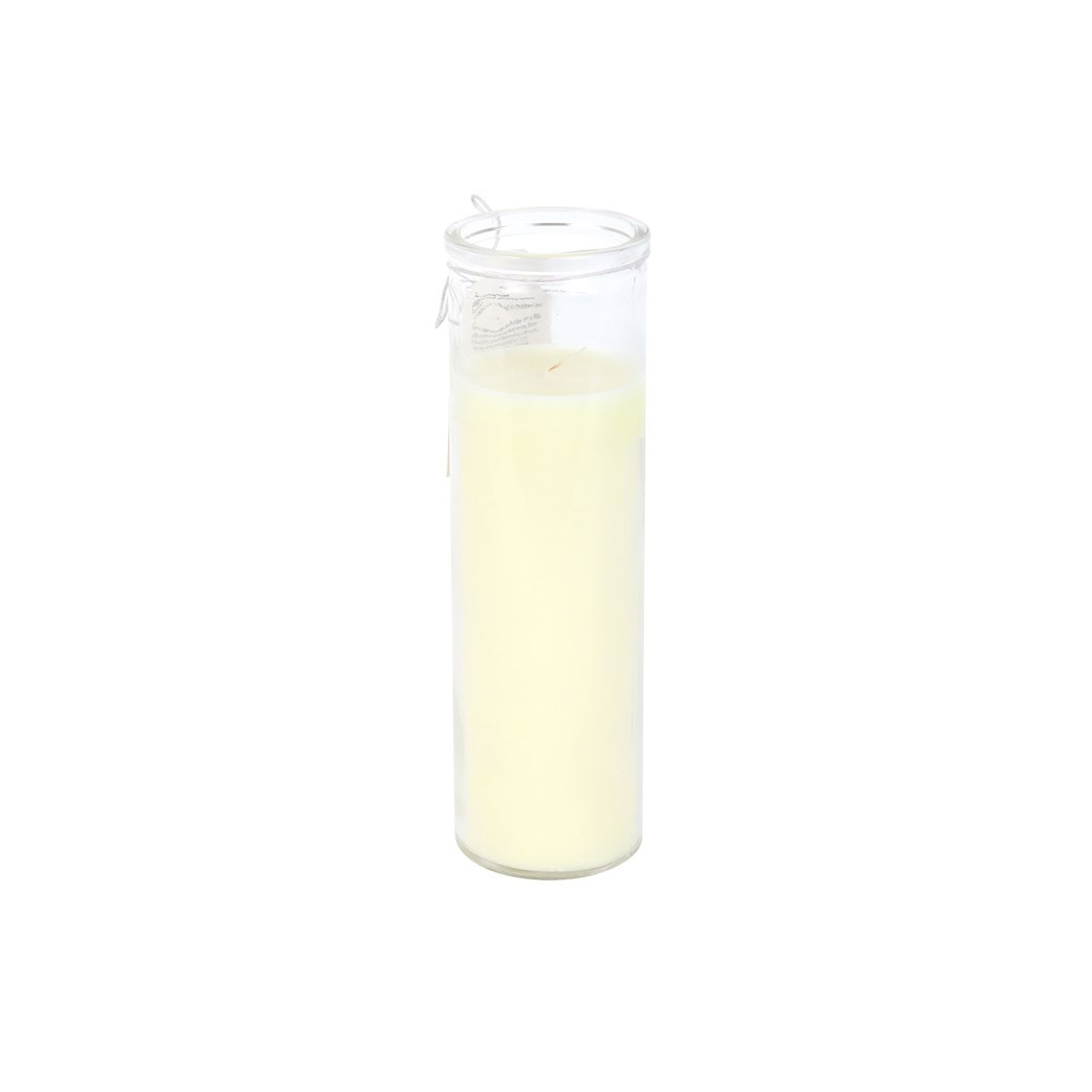 Butterflies Appear Vanilla Tube Candle N/A