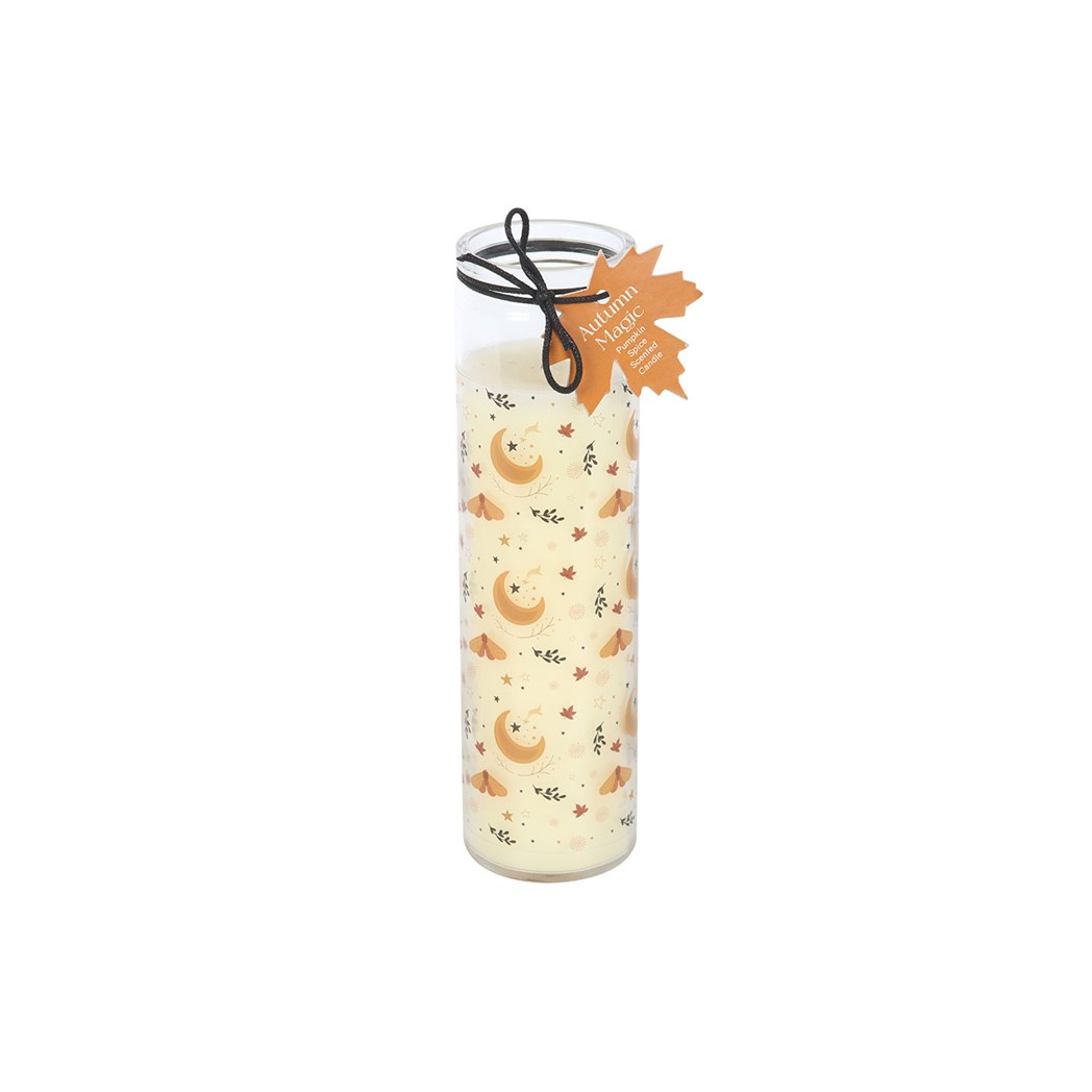Autumn Magic Pumpkin Spice Tube Candle N/A
