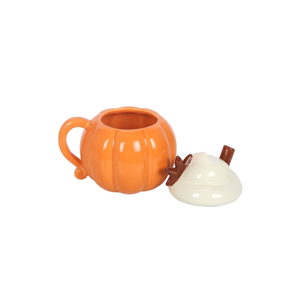 Pumpkin mug seasonal autumn kitchenware gift