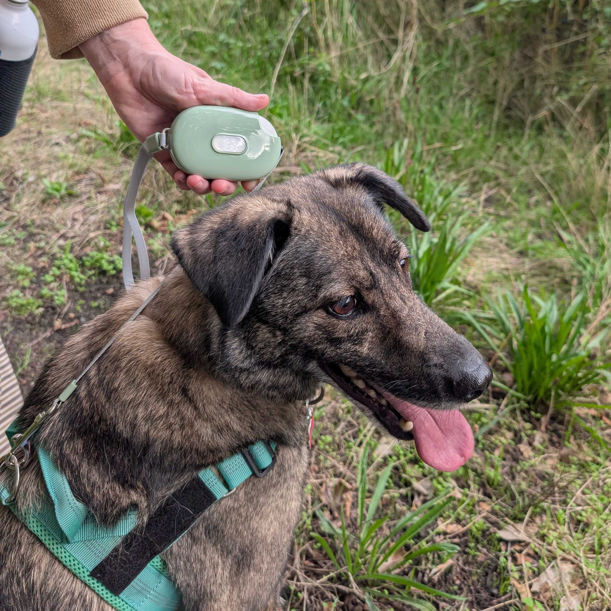 Paw Pet Leash - Pocket Pod - Green - 1.5m AW Dropship UK
