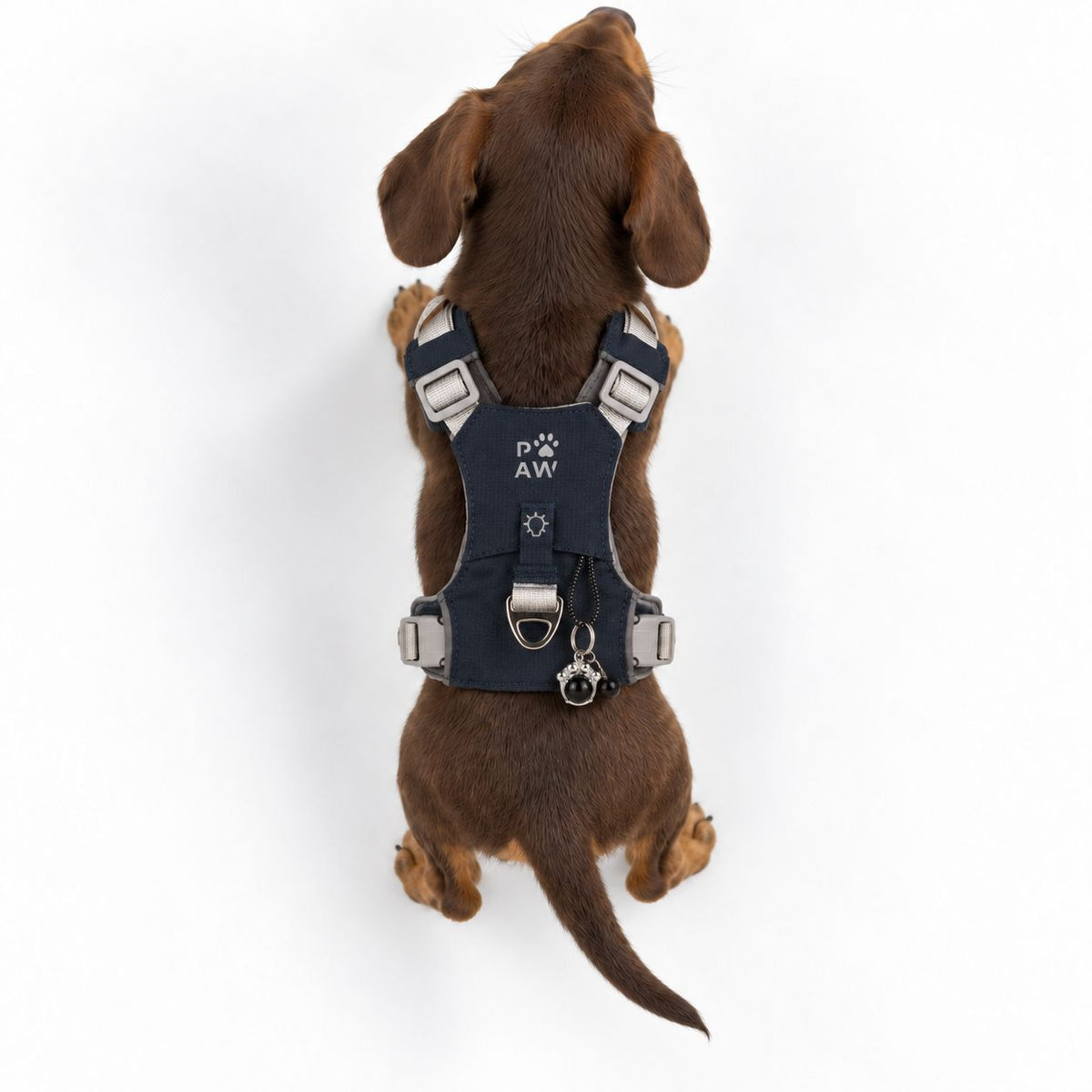 PAW - XS (2-4Kg) Dog Step-in Guardian Harness with Reflective Mesh - Rock Grey - Black Obsidian Charm AW Dropship UK