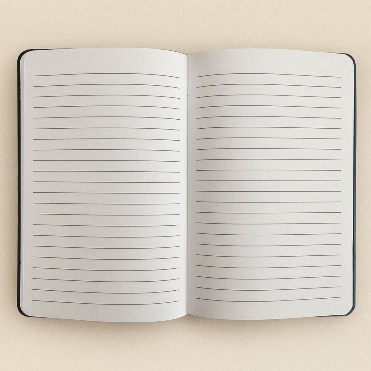 Black Velvet Notebook - 80 pages - Carpe Diem AW Dropship UK