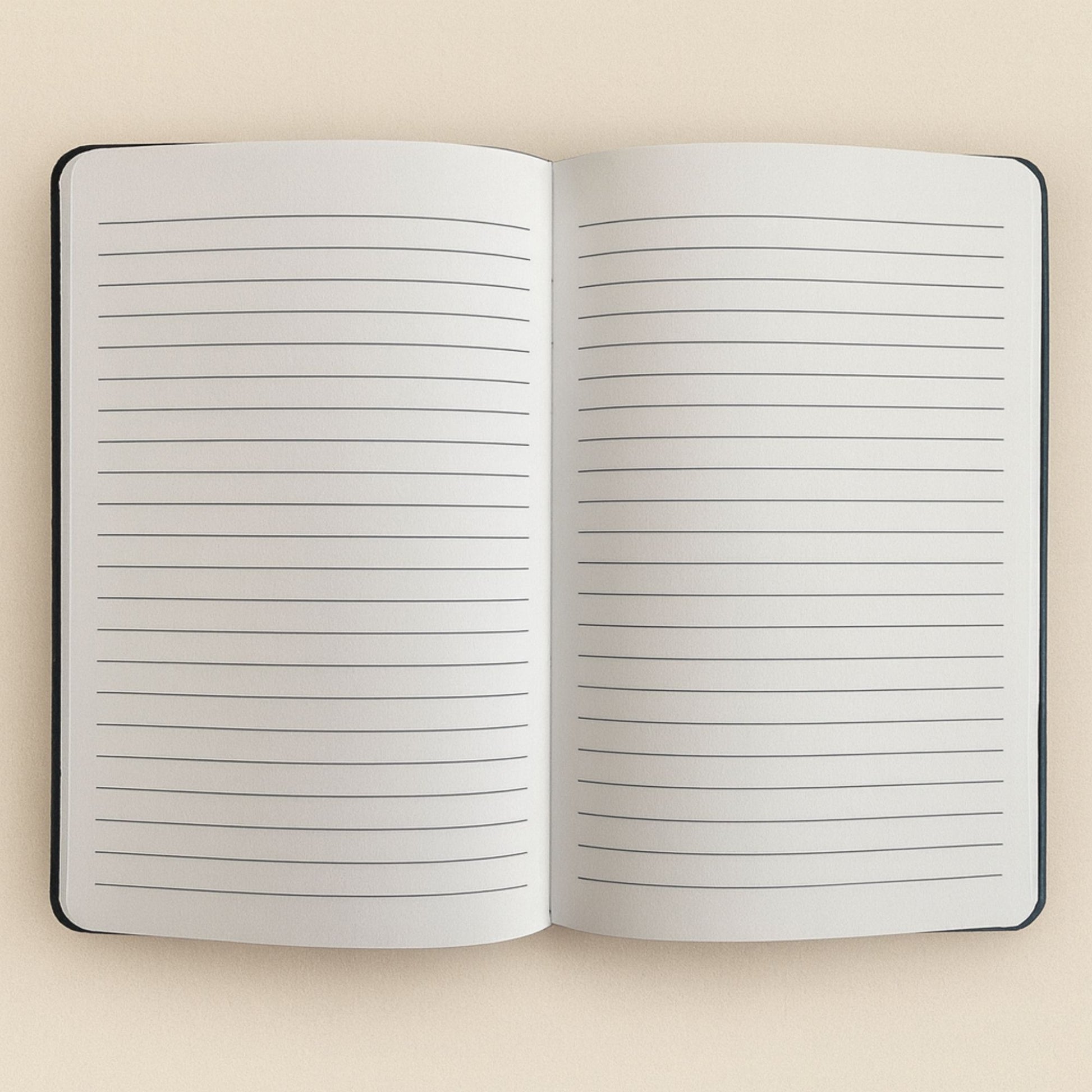 Black Velvet Notebook - 80 pages - Carpe Diem AW Dropship UK