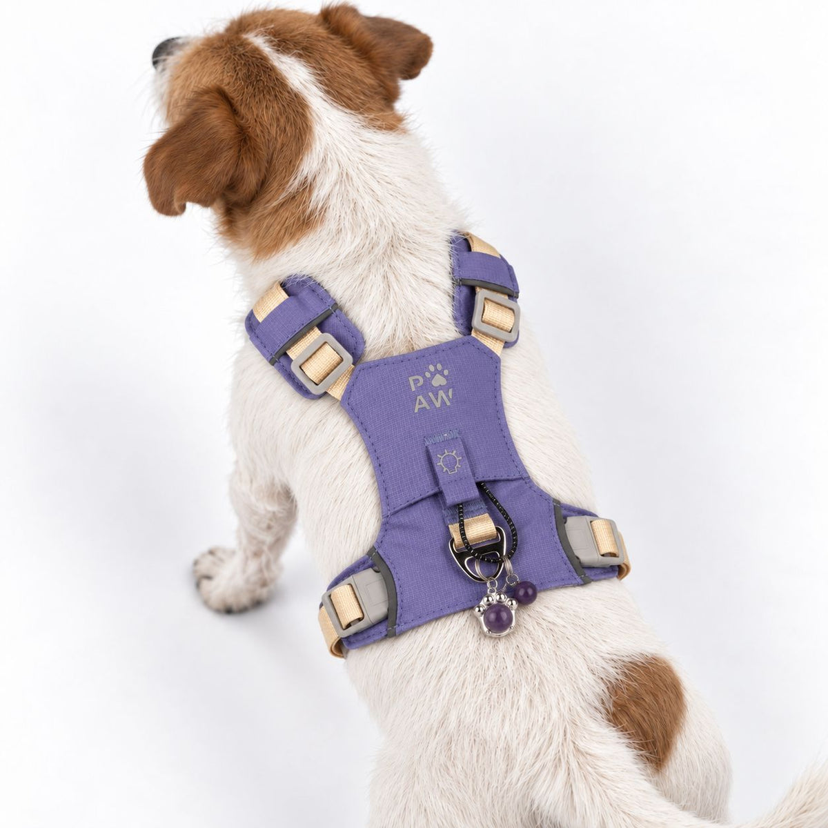 PAW - S (4-8Kg) Dog Step-in Guardian Harness with Reflective Mesh - Lavender - Amethyst Charm AW Dropship UK