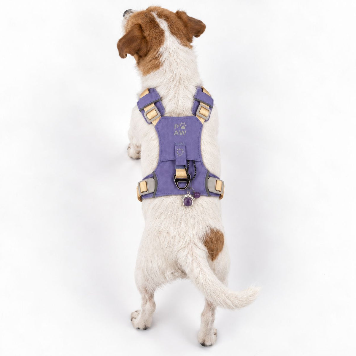 PAW - S (4-8Kg) Dog Step-in Guardian Harness with Reflective Mesh - Lavender - Amethyst Charm AW Dropship UK