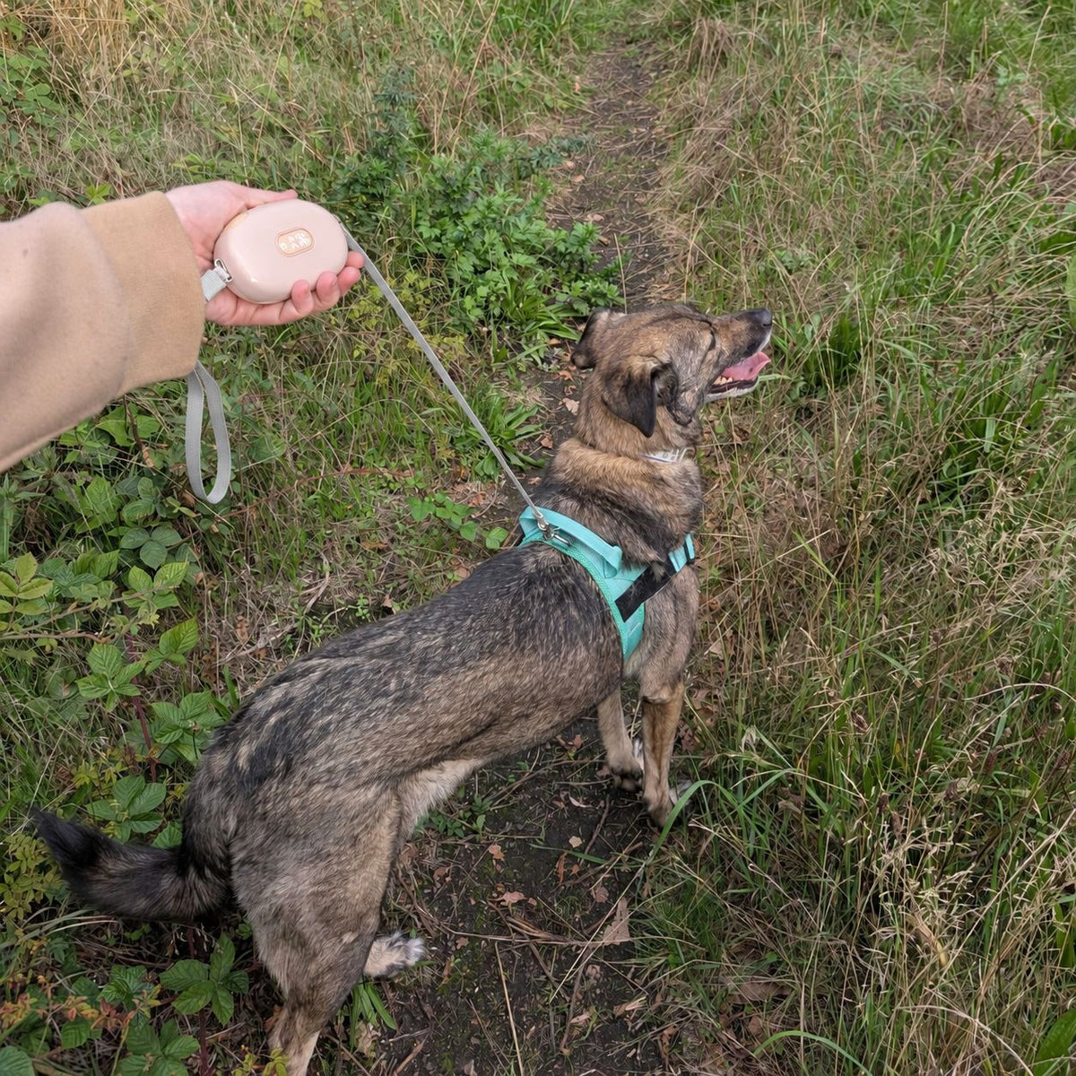 Paw Pet Leash - Pocket Pod - Pink - 1.5m AW Dropship UK