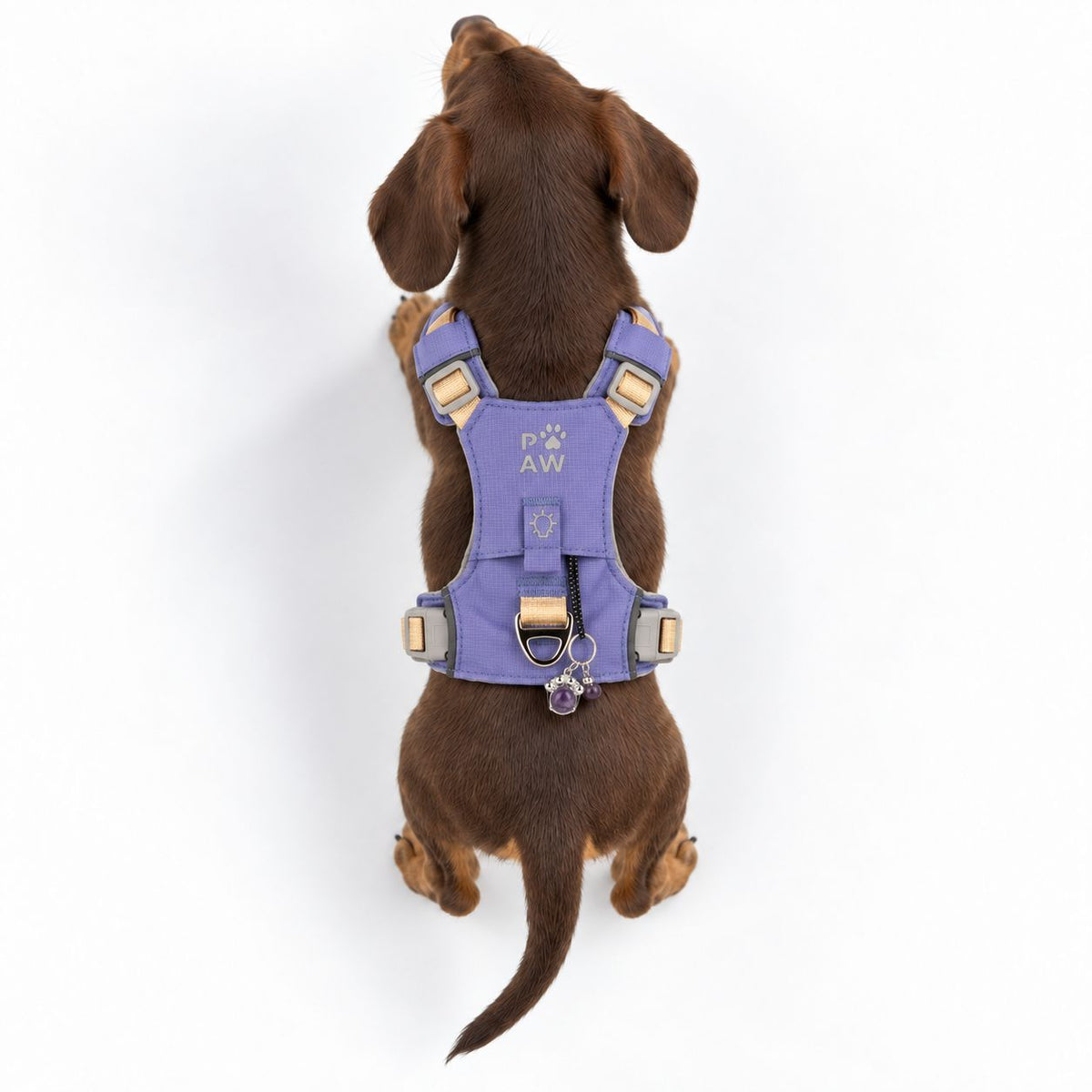 PAW Guardian amethyst dog harness