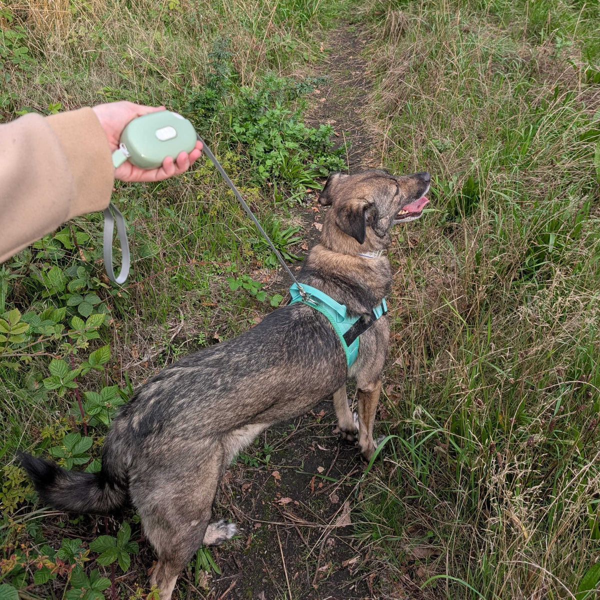 Paw Pet Leash - Pocket Pod - Green - 1.5m AW Dropship UK