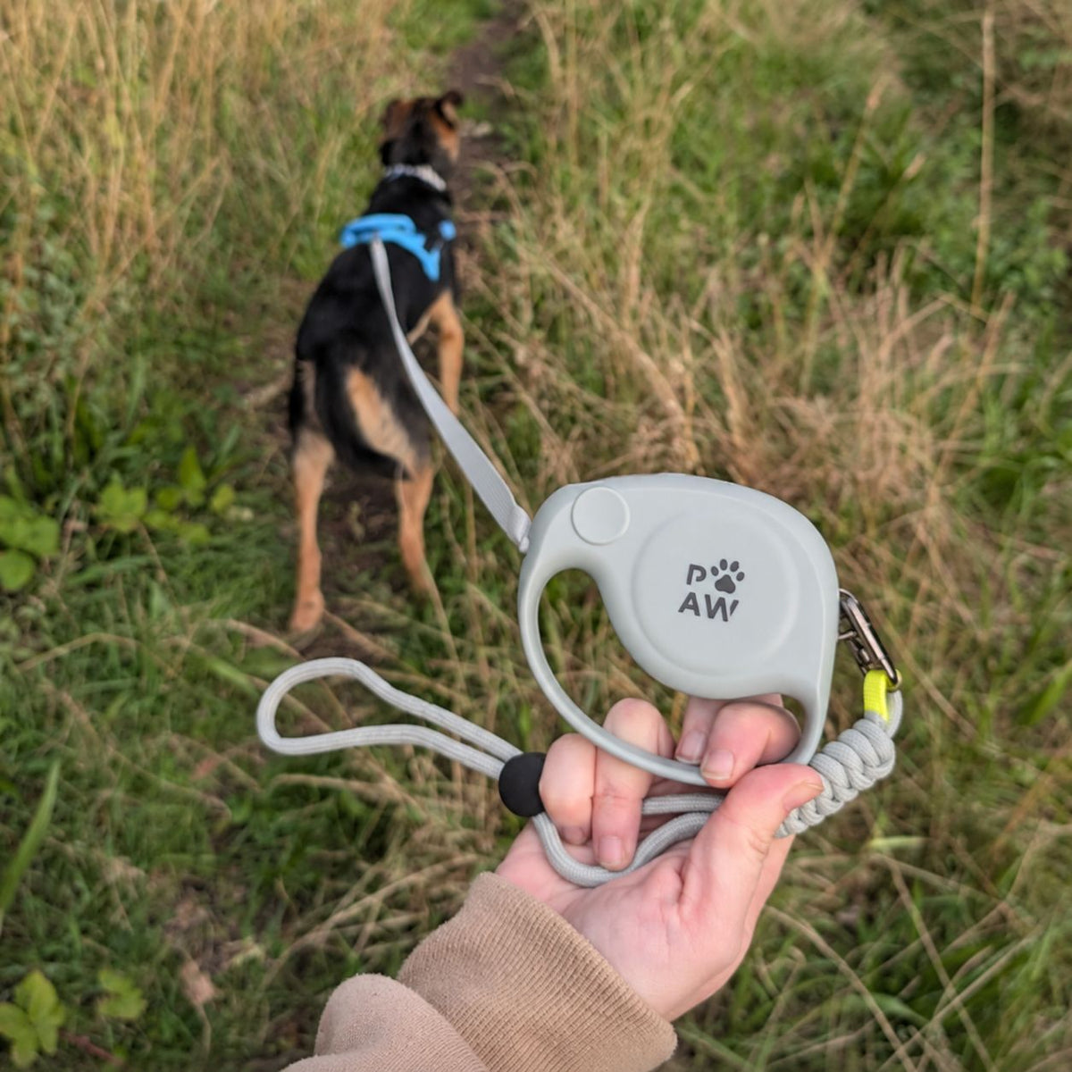 2m dog lead for everyday walks