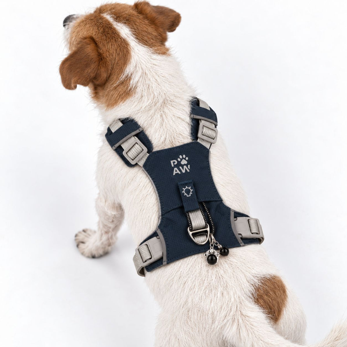 PAW Guardian black obsidian dog harness