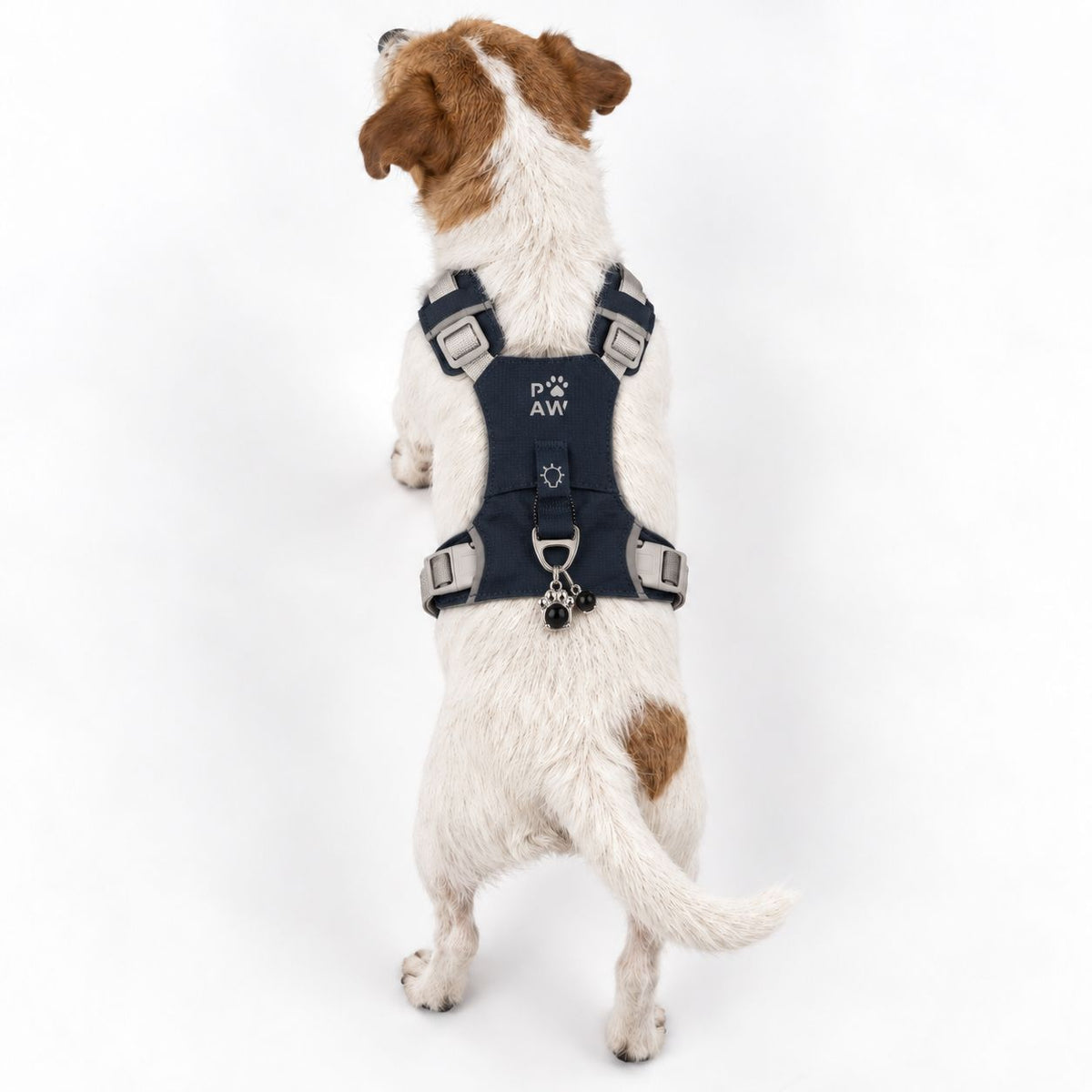 Grey reflective dog harness fit detail