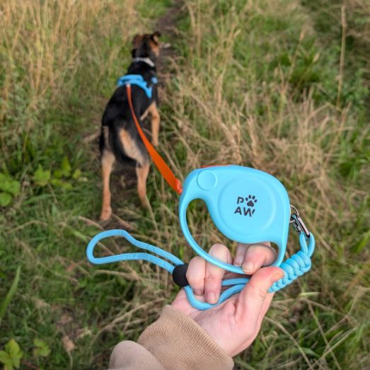 2m dog lead for everyday walks