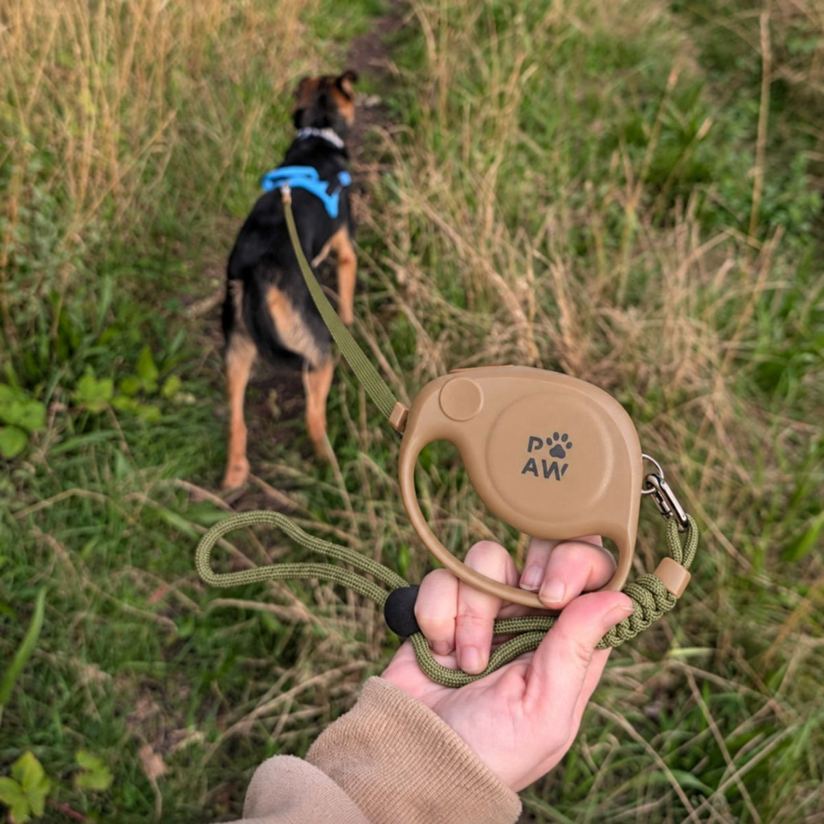 Paw Pet Leash - Elephant Strap - Brown - 2m AW Dropship UK