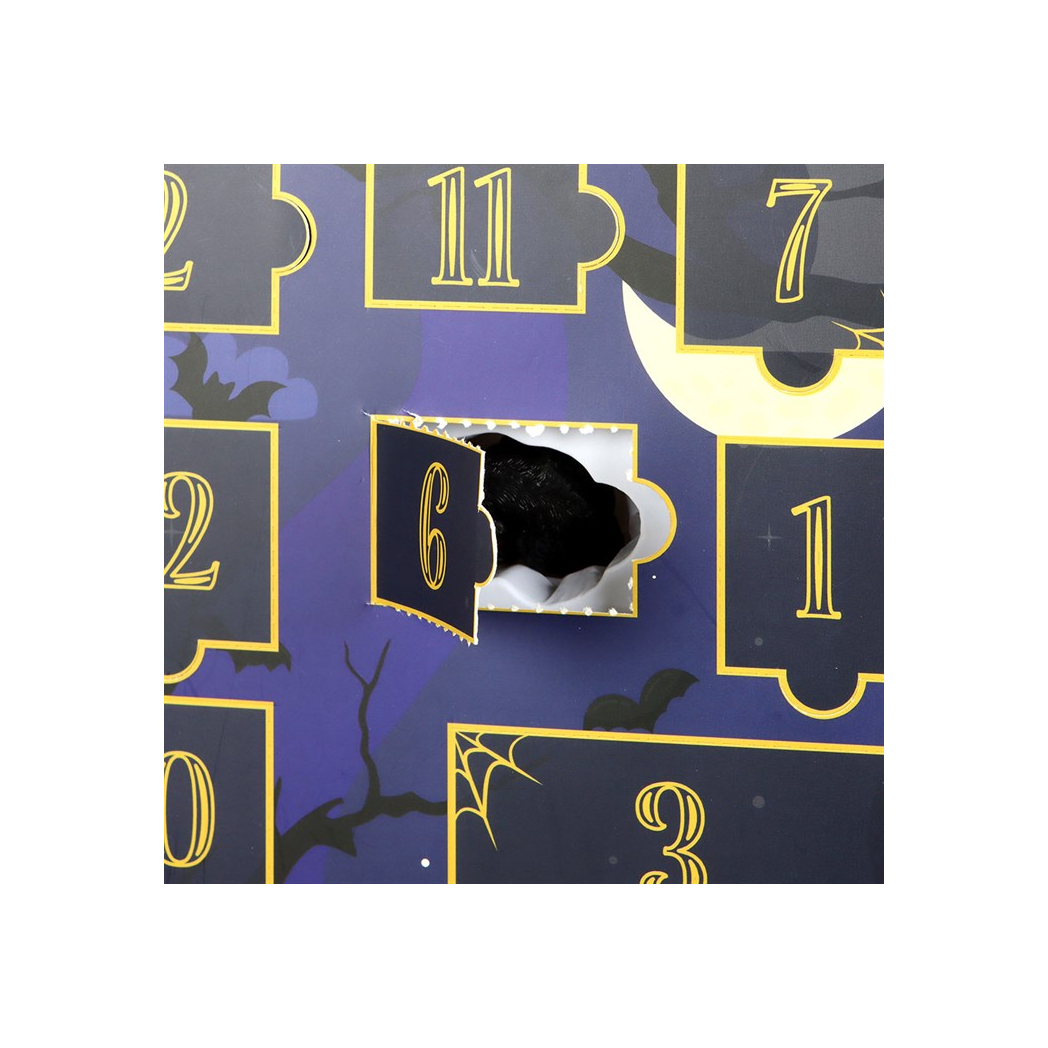 Shelf of Shadows 12-Day Halloween Advent Calendar N/A