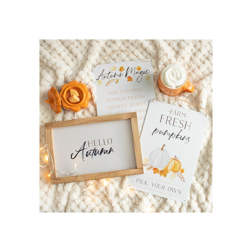 Hello Autumn Wooden Frame Sign N/A