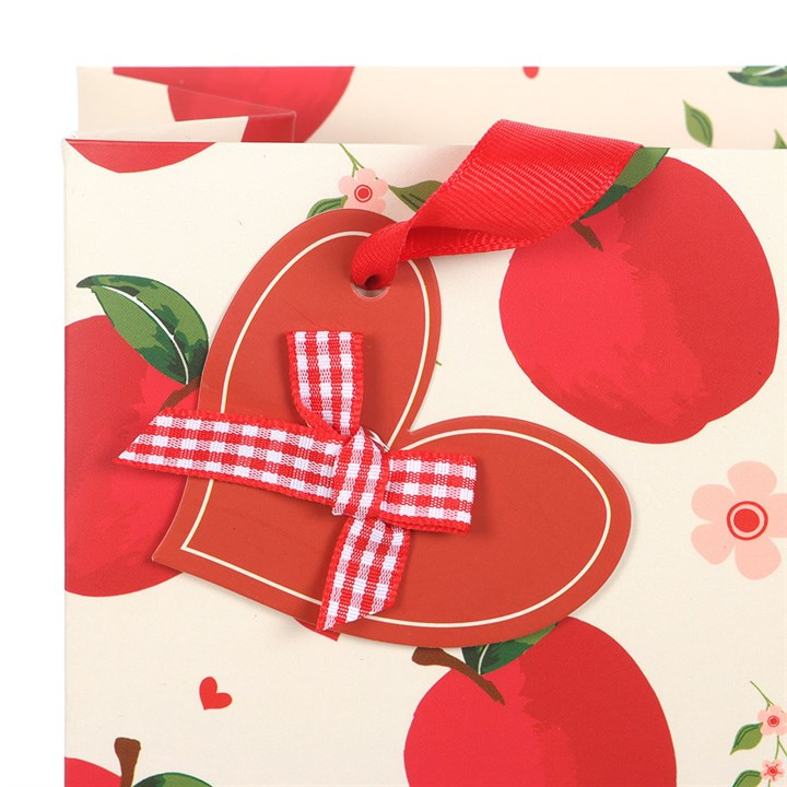 23cm Medium Apple Print Gift Bag N/A