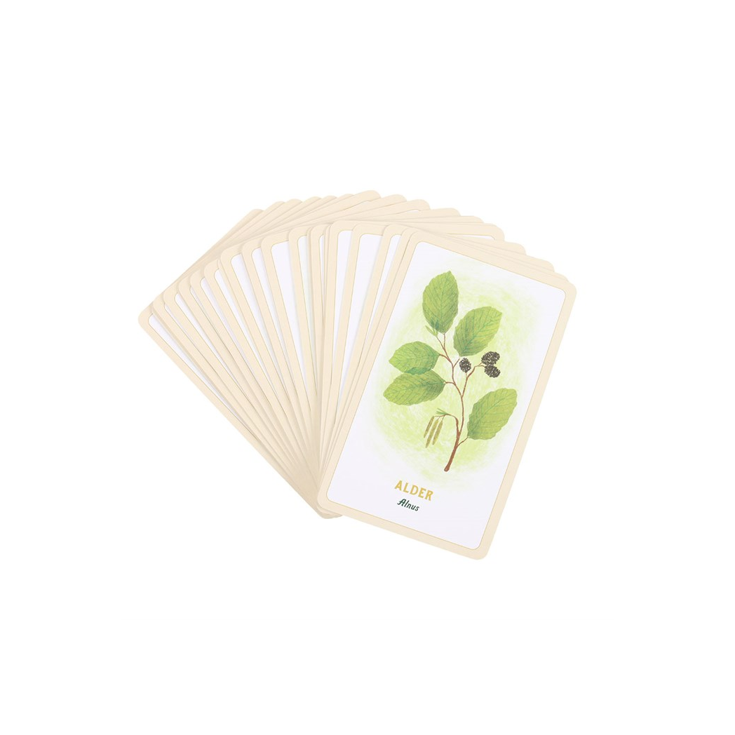 Forest Magic Oracle Cards N/A