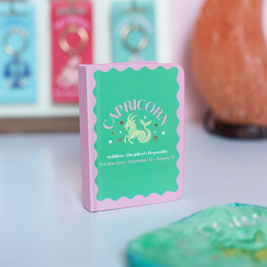 Zodiac Zest Capricorn Mini Notebook N/A